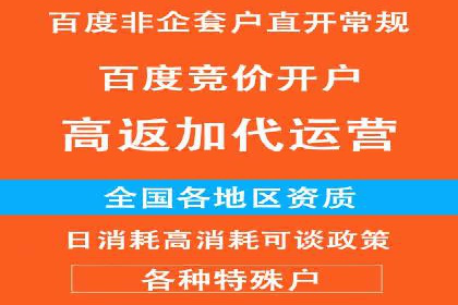 百度竞价广告的成功之路：企业运营案例集